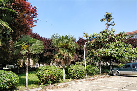 出售泰安御景龙城3室2厅1卫91平精装修